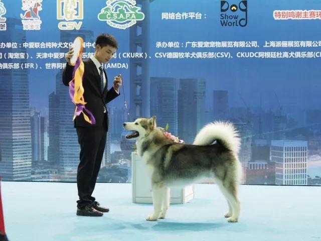 返图来了，2017亚洲杯因你而精彩！-67.jpeg
