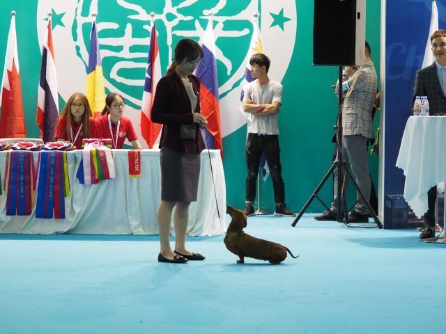 返图来了，2017亚洲杯因你而精彩！-74.jpeg