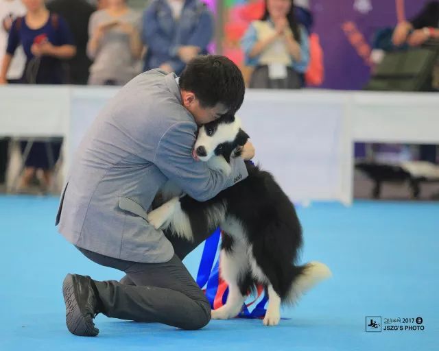 揭秘亚洲杯冠军犬 | 王开泰： 让世界看到中国牵犬师的风采-6.jpeg