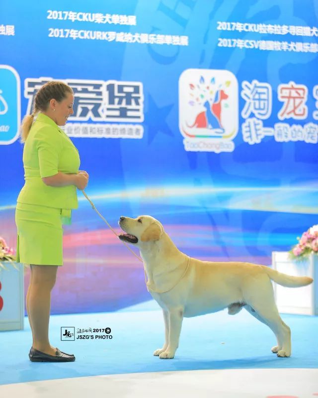 揭秘亚洲杯冠军犬 | 雅族犬舍：坚守品质，在国际舞台上如明星般闪耀-1.jpeg