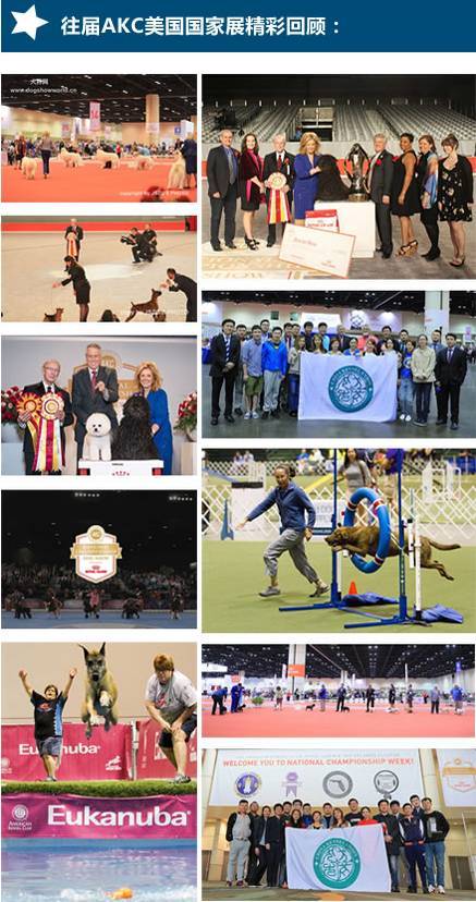 CKU将带队本土繁殖赛犬，亮相2017AKC美国国家展！-2.jpeg