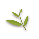 回顾 | 审查员告诉你，种公这样选就对了。-4.png