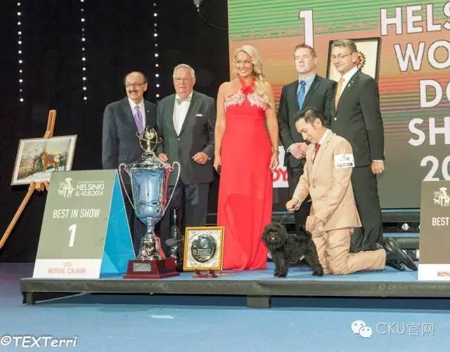 世界最大犬展--FCI 2017 WORLD DOG SHOW即将拉开战幕！-6.jpeg