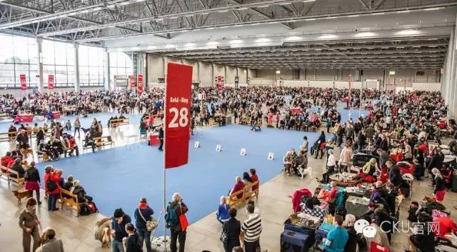 世界最大犬展--FCI 2017 WORLD DOG SHOW即将拉开战幕！-5.jpeg