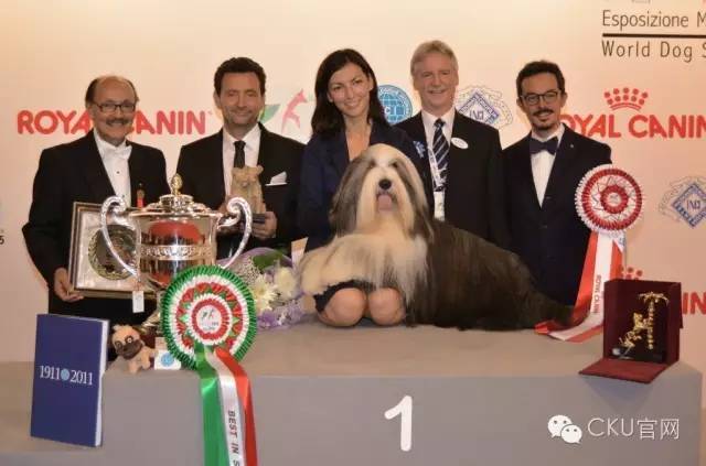 世界最大犬展--FCI 2017 WORLD DOG SHOW即将拉开战幕！-7.jpeg