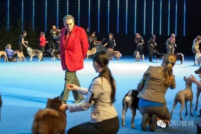 世界最大犬展--FCI 2017 WORLD DOG SHOW即将拉开战幕！-8.jpeg