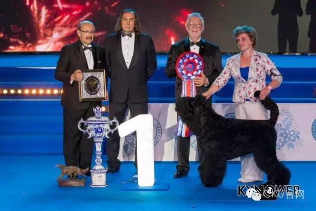世界最大犬展--FCI 2017 WORLD DOG SHOW即将拉开战幕！-9.jpeg
