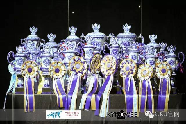 世界最大犬展--FCI 2017 WORLD DOG SHOW即将拉开战幕！-15.jpeg