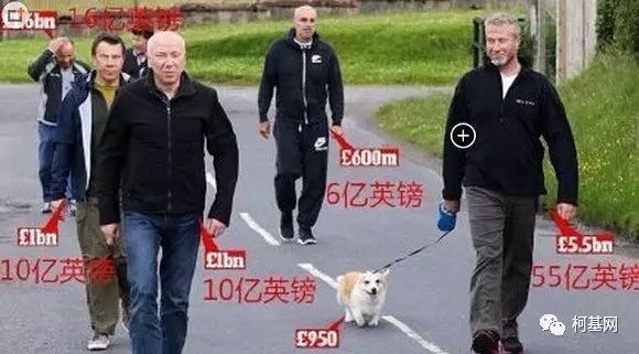 这里，养柯基的人，非富即贵......-2.jpeg