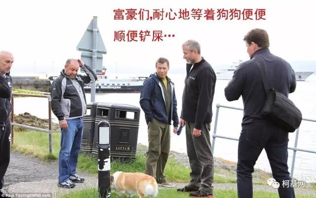 这里，养柯基的人，非富即贵......-3.jpeg