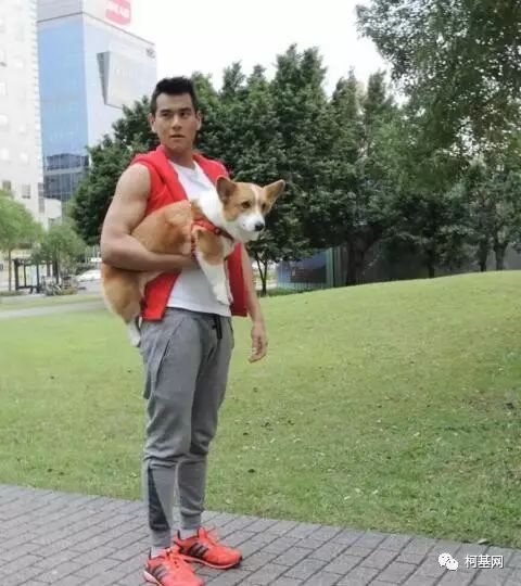 这里，养柯基的人，非富即贵......-13.jpeg