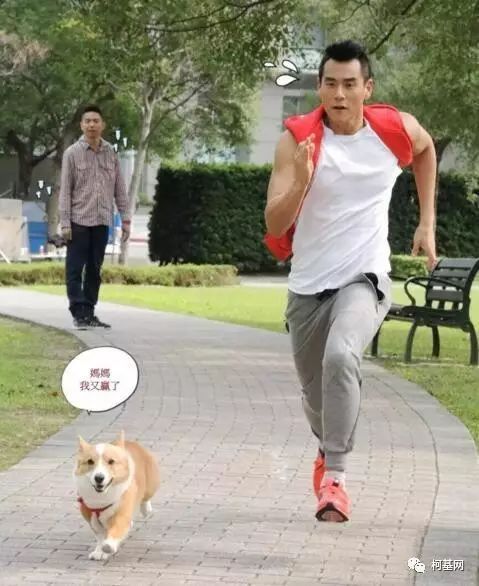 这里，养柯基的人，非富即贵......-14.jpeg