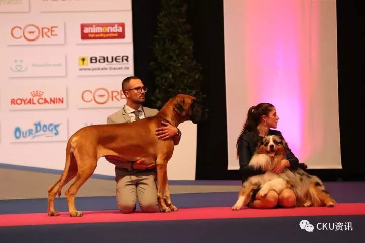 2017世界杯犬展全场总冠军诞生！-3.jpeg