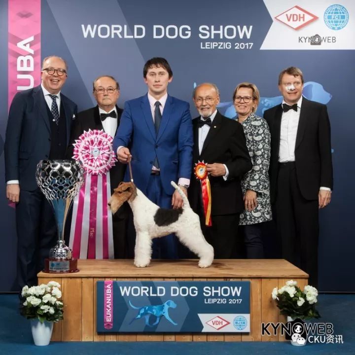 2017世界杯犬展全场总冠军诞生！-6.jpeg