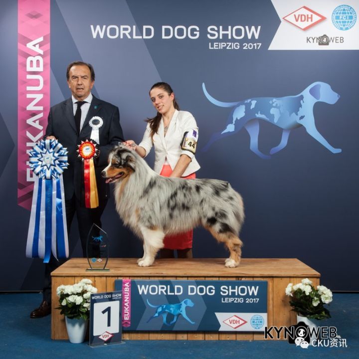 2017世界杯犬展全场总冠军诞生！-9.jpeg
