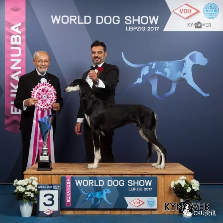 2017世界杯犬展全场总冠军诞生！-17.jpeg