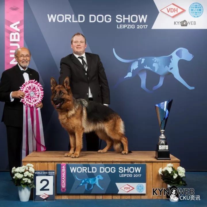 2017世界杯犬展全场总冠军诞生！-16.jpeg
