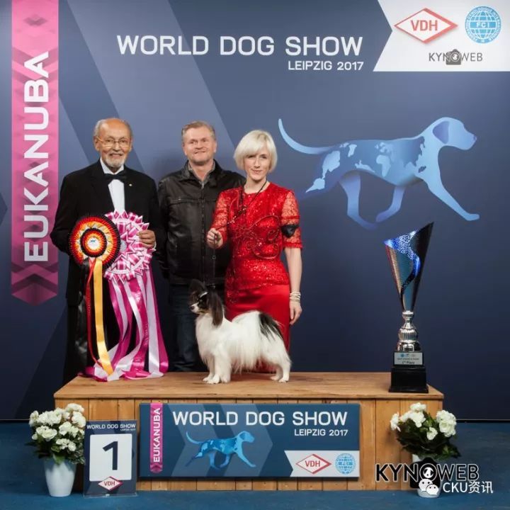 2017世界杯犬展全场总冠军诞生！-15.jpeg