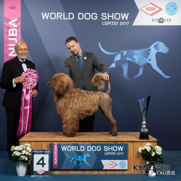 2017世界杯犬展全场总冠军诞生！-18.jpeg