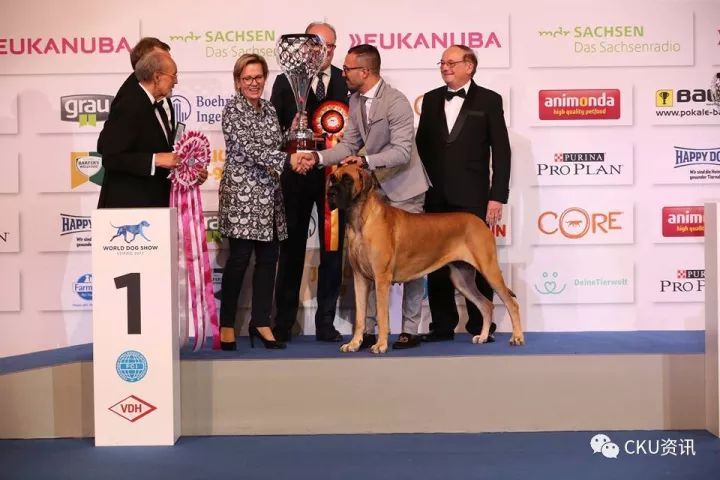 2017世界杯犬展全场总冠军诞生！-25.jpeg