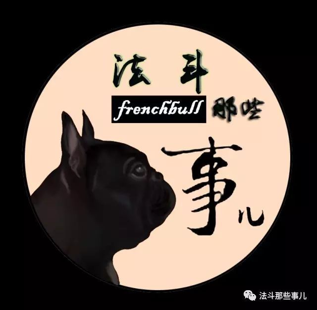 引发呼吸困难的软腭过长症，你的法斗有这问题吗？-9.jpeg