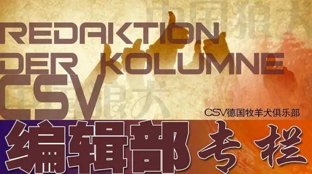 CSV德牧 | 结构和管理-1.jpeg
