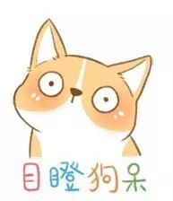 狗狗所谓血统级、赛级、冠军犬区别是什么？怎么判断？-1.jpeg