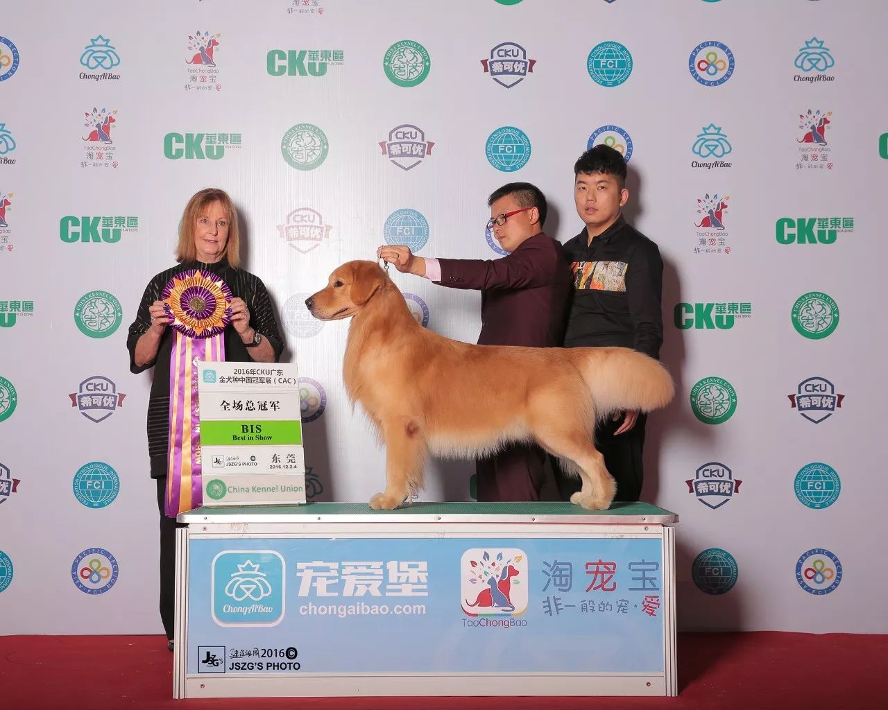 2017年CKU排行榜，领跑金毛排行一：Jimmy-2.jpeg