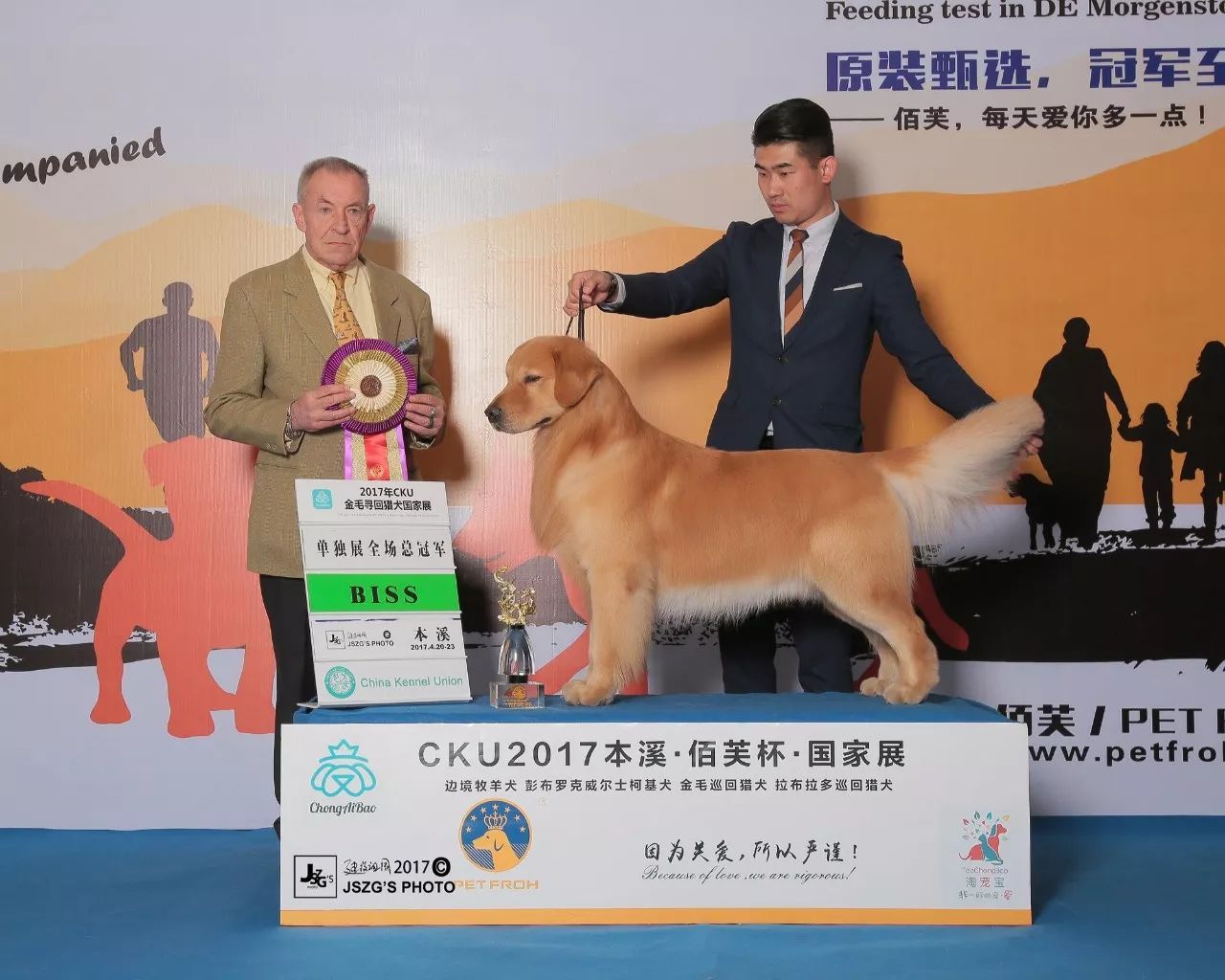 2017年CKU排行榜，领跑金毛排行一：Jimmy-3.jpeg