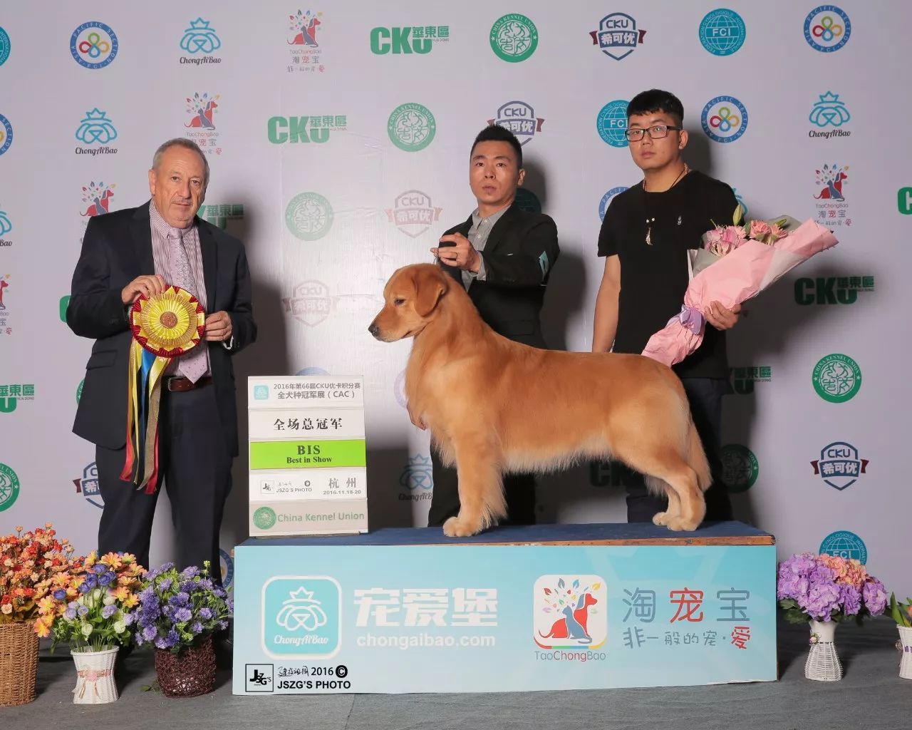2017年CKU排行榜，领跑金毛排行一：Jimmy-9.jpeg