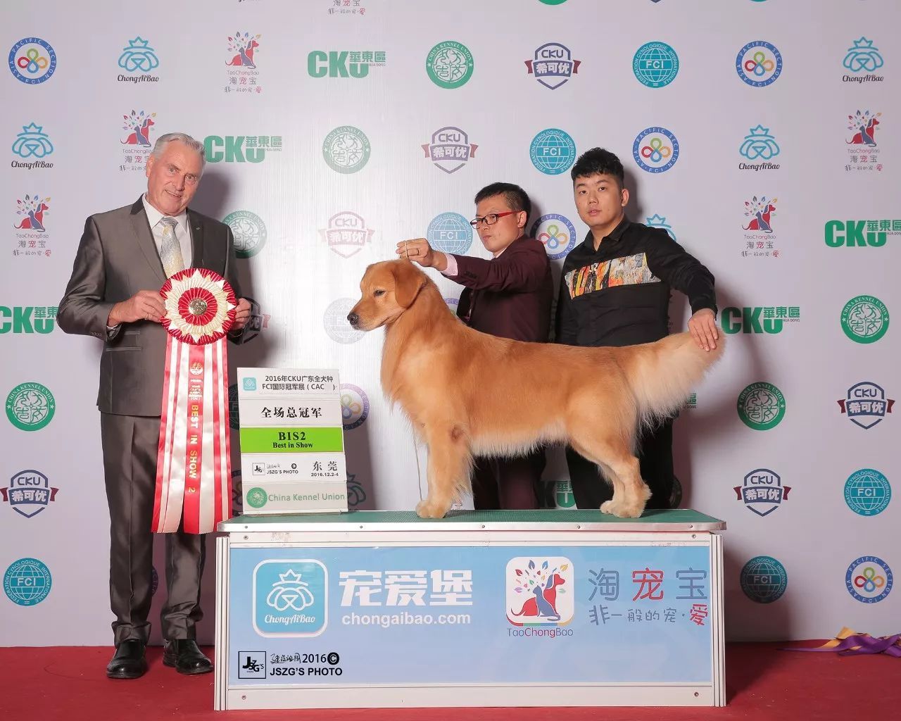 2017年CKU排行榜，领跑金毛排行一：Jimmy-16.jpeg