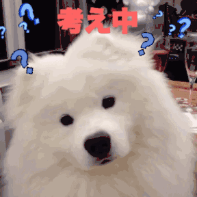 边牧到底有多少种颜色？都叫得上名字算你赢-2.gif