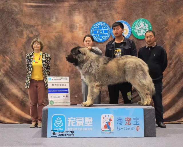 2017年CKU排行榜，高加索排行一：小五-1.jpeg