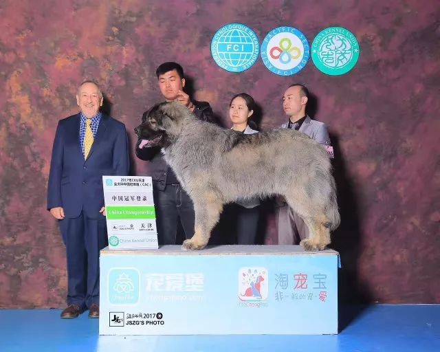 2017年CKU排行榜，高加索排行一：小五-2.jpeg