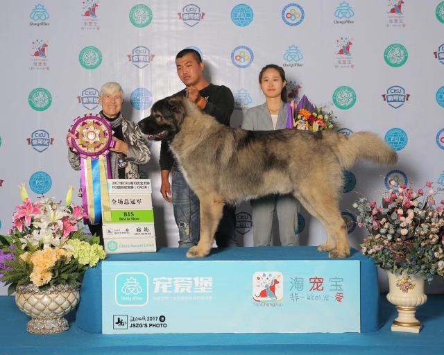 2017年CKU排行榜，高加索排行一：小五-3.jpeg