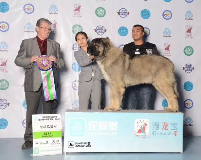 2017年CKU排行榜，高加索排行一：小五-4.jpeg
