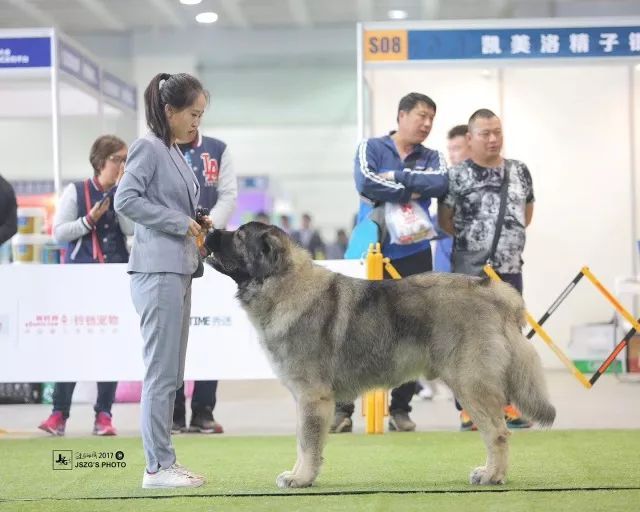 2017年CKU排行榜，高加索排行一：小五-9.jpeg