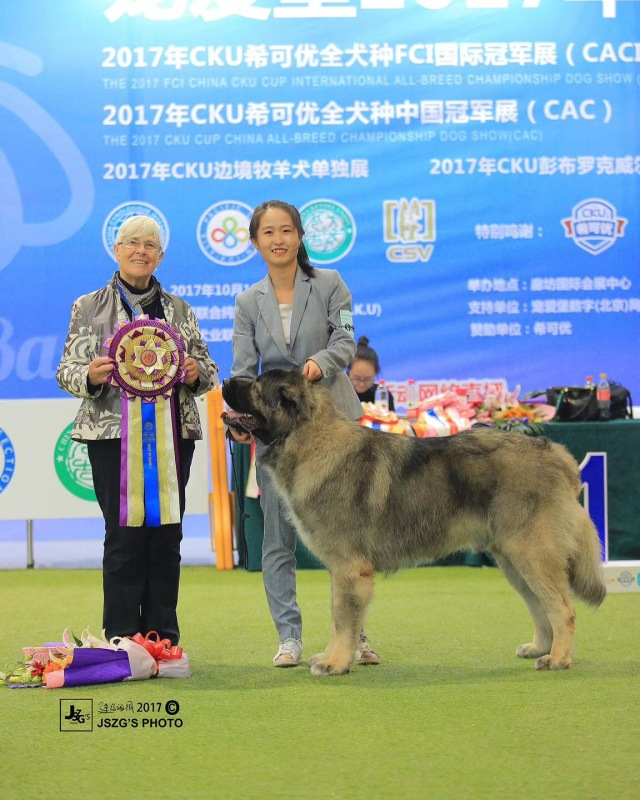 2017年CKU排行榜，高加索排行一：小五-10.jpeg