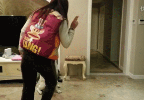 直男的撩妹套路很可怕，但我不一样，我有狗啊-15.gif