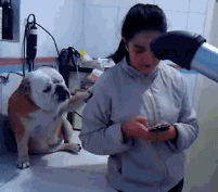 直男的撩妹套路很可怕，但我不一样，我有狗啊-17.gif