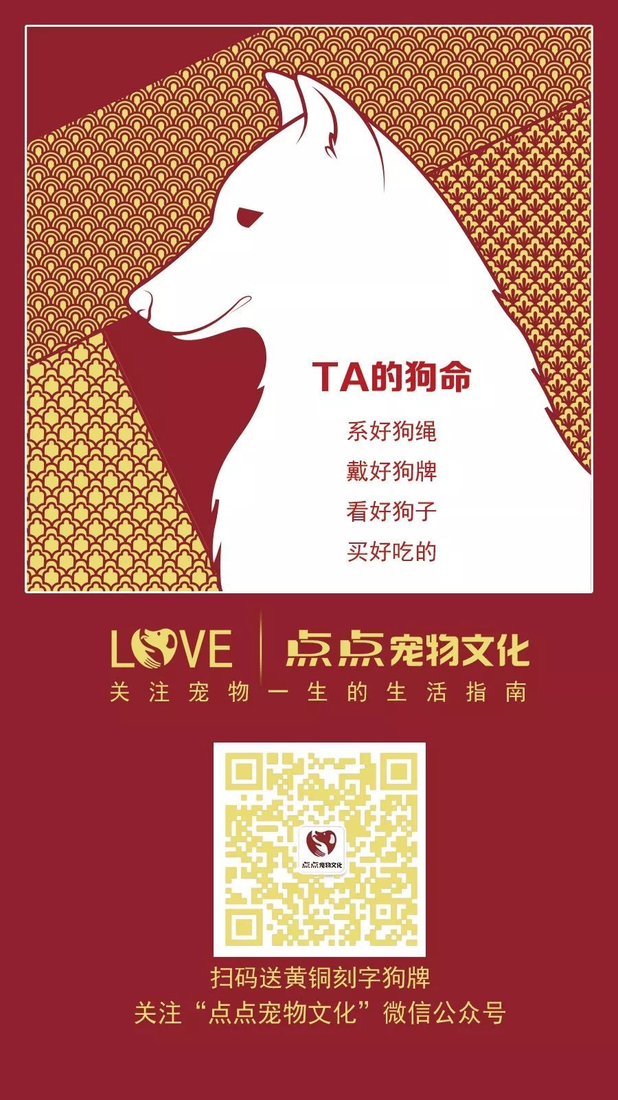 来听听铲屎官们狗年最想做的是什么事？-1.jpeg