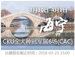 比了这么多赛，却不知道海报上的都是哪儿？-8.jpeg