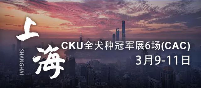 比了这么多赛，却不知道海报上的都是哪儿？-17.jpeg