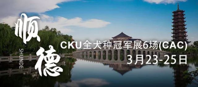 比了这么多赛，却不知道海报上的都是哪儿？-26.jpeg