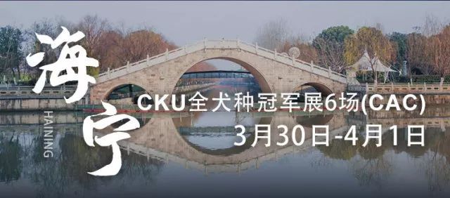 比了这么多赛，却不知道海报上的都是哪儿？-31.jpeg