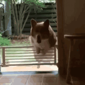 比了这么多赛，却不知道海报上的都是哪儿？-36.gif