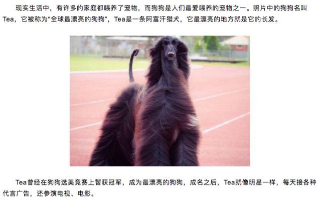 为什么有的狗配种费好几万？上门服务？不存在的。-2.jpeg