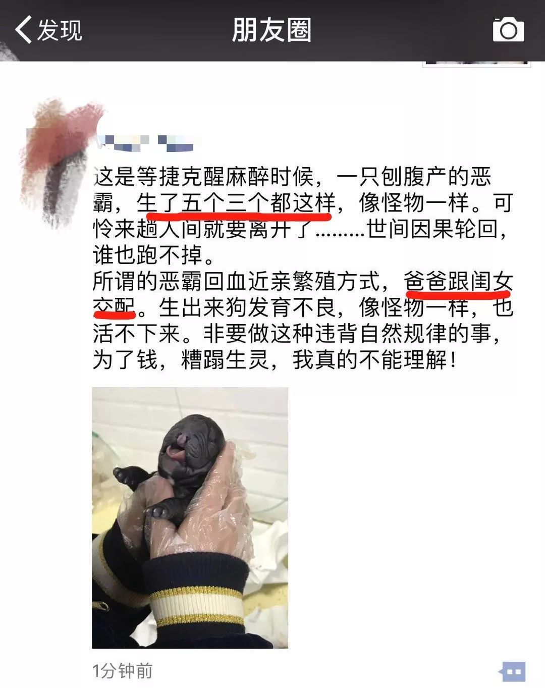 繁殖的二十条金科玉律（准则1-10）-2.jpeg