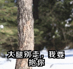 繁殖的二十条金科玉律（准则1-10）-4.gif