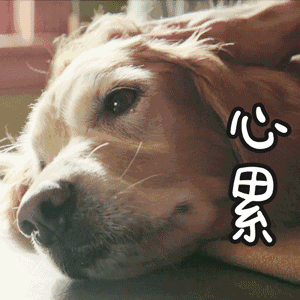 繁殖的二十条金科玉律（准则1-10）-7.gif